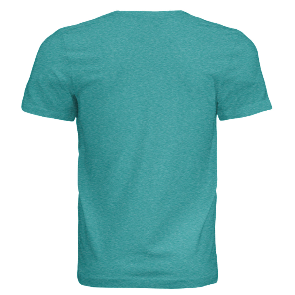 TEAL TRIBLEND - 3413C - BACK